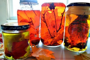fall-snsory-jars[1]